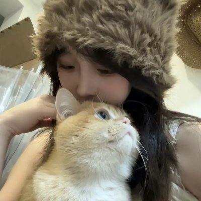 我爱猫头鹰